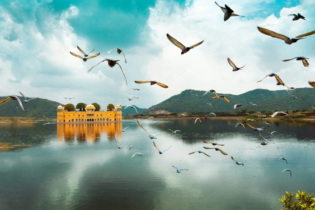 Jal Mahal Jaipur