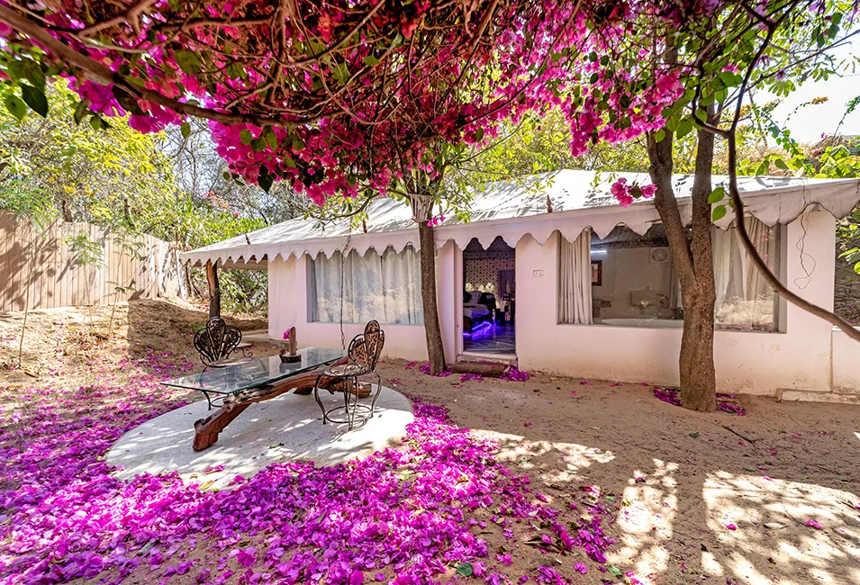 LuxuryTentWithJacuzzi1 Lohagarh Fort Resort Luxury Tent with Jacuzzi