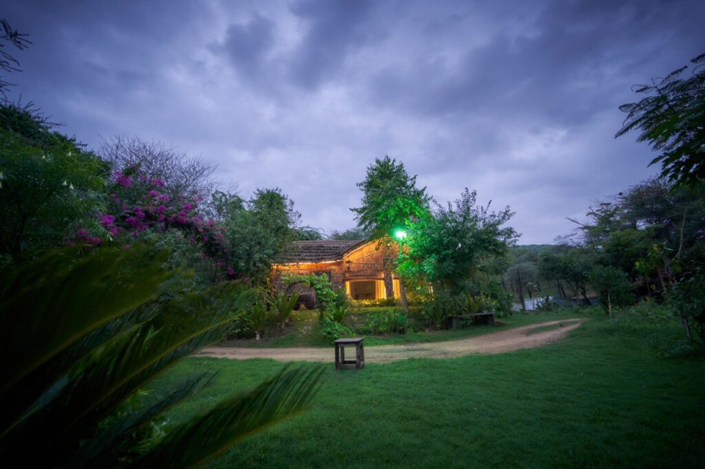 6071135697273732739 Lohagarh Fort Resort Wooden cottage with warm string lights in a lush garden at dusk a dirt path leading to the entrance