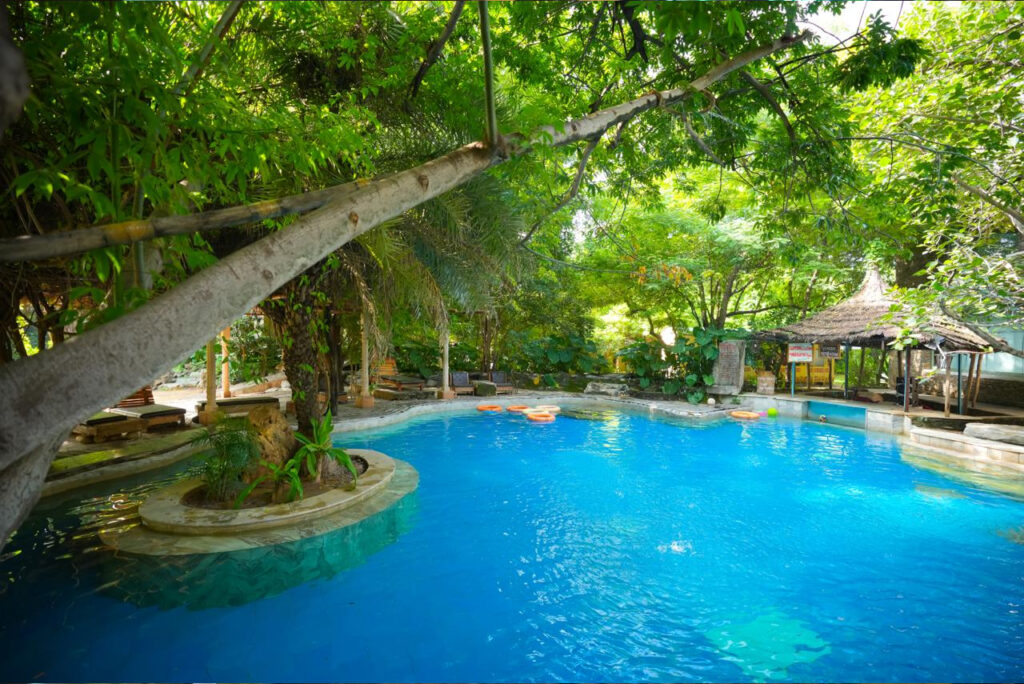 Pool Resort vs Water Park: Which Is Better for Families?
